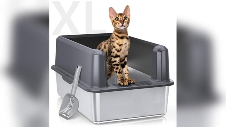 Best Litter Box for Big Cats 2026: Top Picks for Spacious Comfort