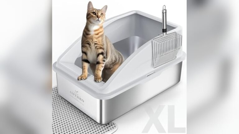 Best Litter Box for Cats That Pee High 2026: Top Picks Reviewed