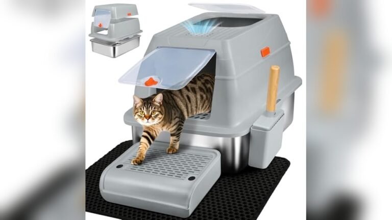 Best No Smell Cat Litter Box 2026 for Odor-Free Homes