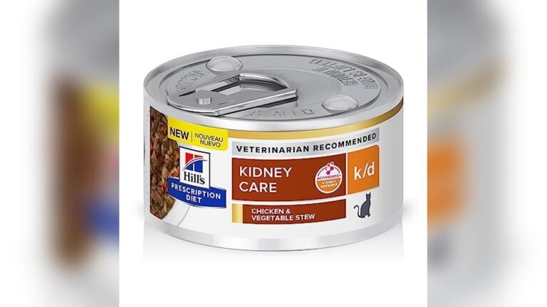 Best Non Prescription Cat Food for Kidney Disease: Top Vet-Approved Picks