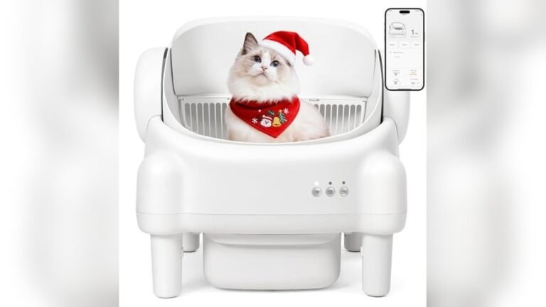 Best Robotic Cat Litter Box Reviews and Buying Guide 2026