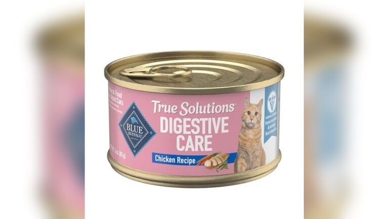 Best Wet Food for Constipated Cat: Top Natural Digestive Care Picks
