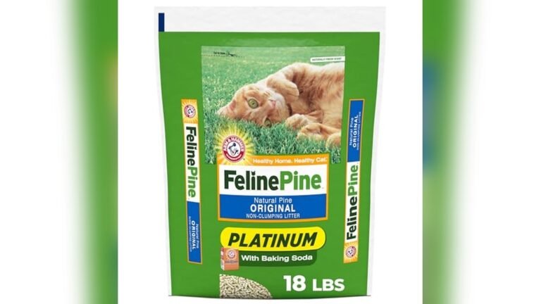 Best Wood Pellet Cat Litter Box Reviews and Buying Guide 2026