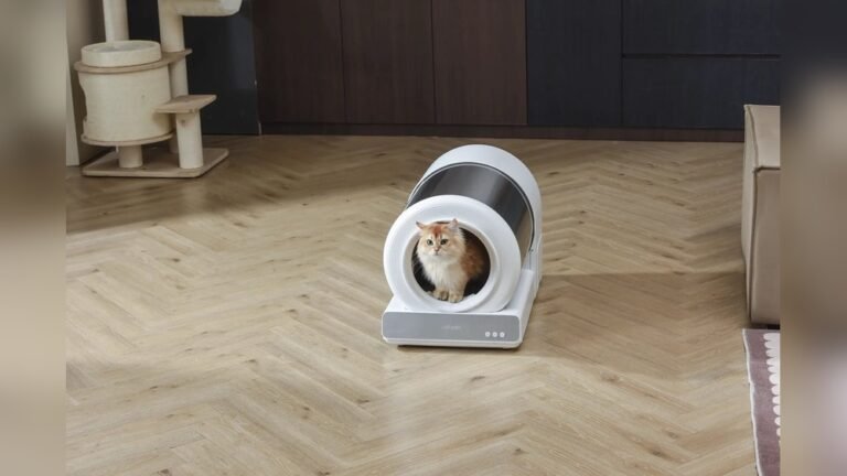 How Far Can Cats Smell Their Litter Box: Surprising Facts Revealed