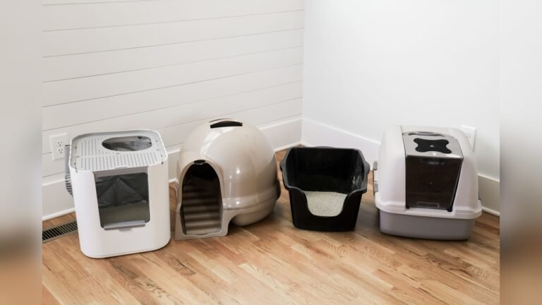 How Many Litter Boxes for 2 Cats: Ultimate Guide for Happy Pets