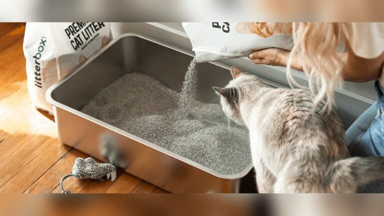 How Often Change Litter Box Cat: Ultimate Guide for Freshness