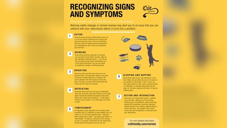 How Often Do Cats Use the Litter Box: Essential Insights Revealed